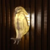 Creative eagle night light, cool wall decoration light, indoor party atmosphere light, animal eagle decorative night light details Picture